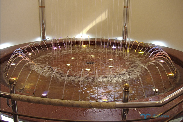 Нитевидный Лукойл, изображение