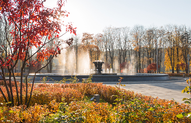 Олимпийский комплекс Лужники, изображение