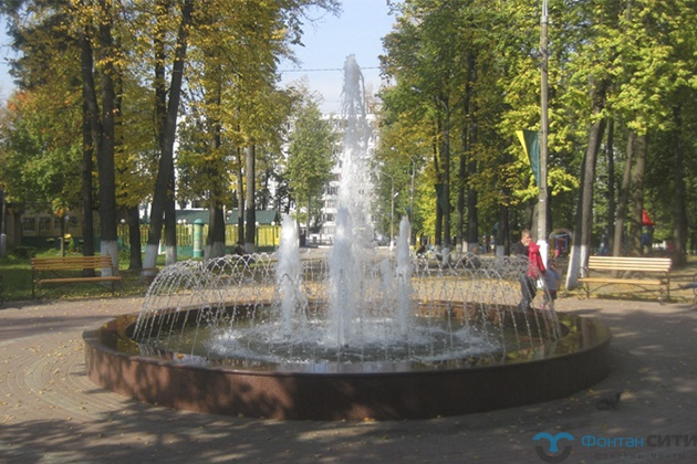 Павловский Посад, изображение