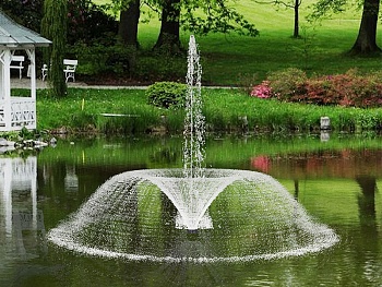 Плавающий фонтан "Лебедь", изображение