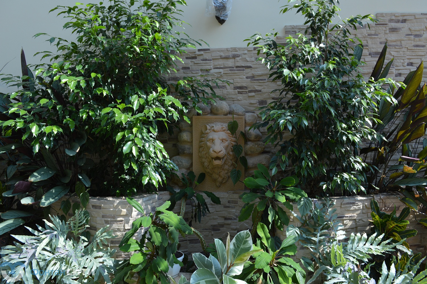 Зимний сад в г. Клин